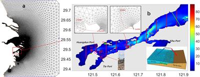 Influences of Tidal Flat and Thermal Discharge on Heat Dynamics in Xiangshan Bay